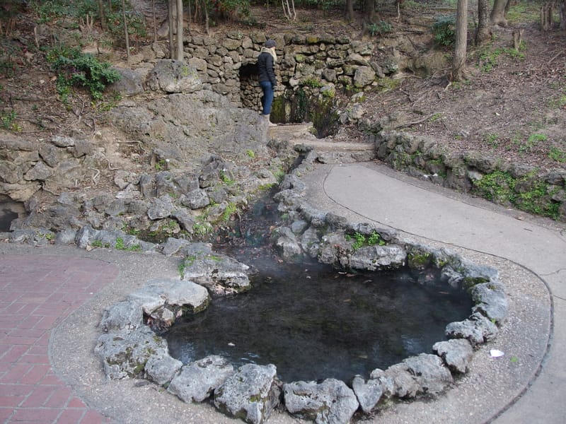 P2130187.jpg